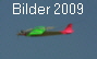 Bilder 2009