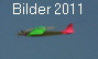 Bilder 2011