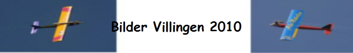 Bilder Villingen 2010