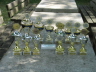 Die Trophen