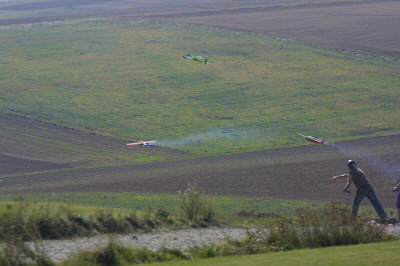 Wenkheim 2007